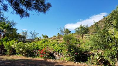View towards  terraces-H900